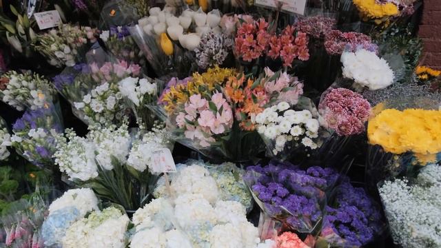 ВЛОГ: неделя в Нью-Йорке с друзьями, Whole Foods, шоппинг и американский фастфуд смотреть онлайн