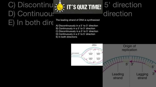 DNA replication: Leading and Lagging strands смотреть онлайн