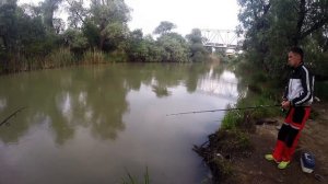 Рыбалка на Казачьем Ерике (Темрюк). Карась.