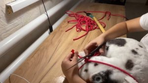 Туториал на веревочный недоуздок для хоббихорса