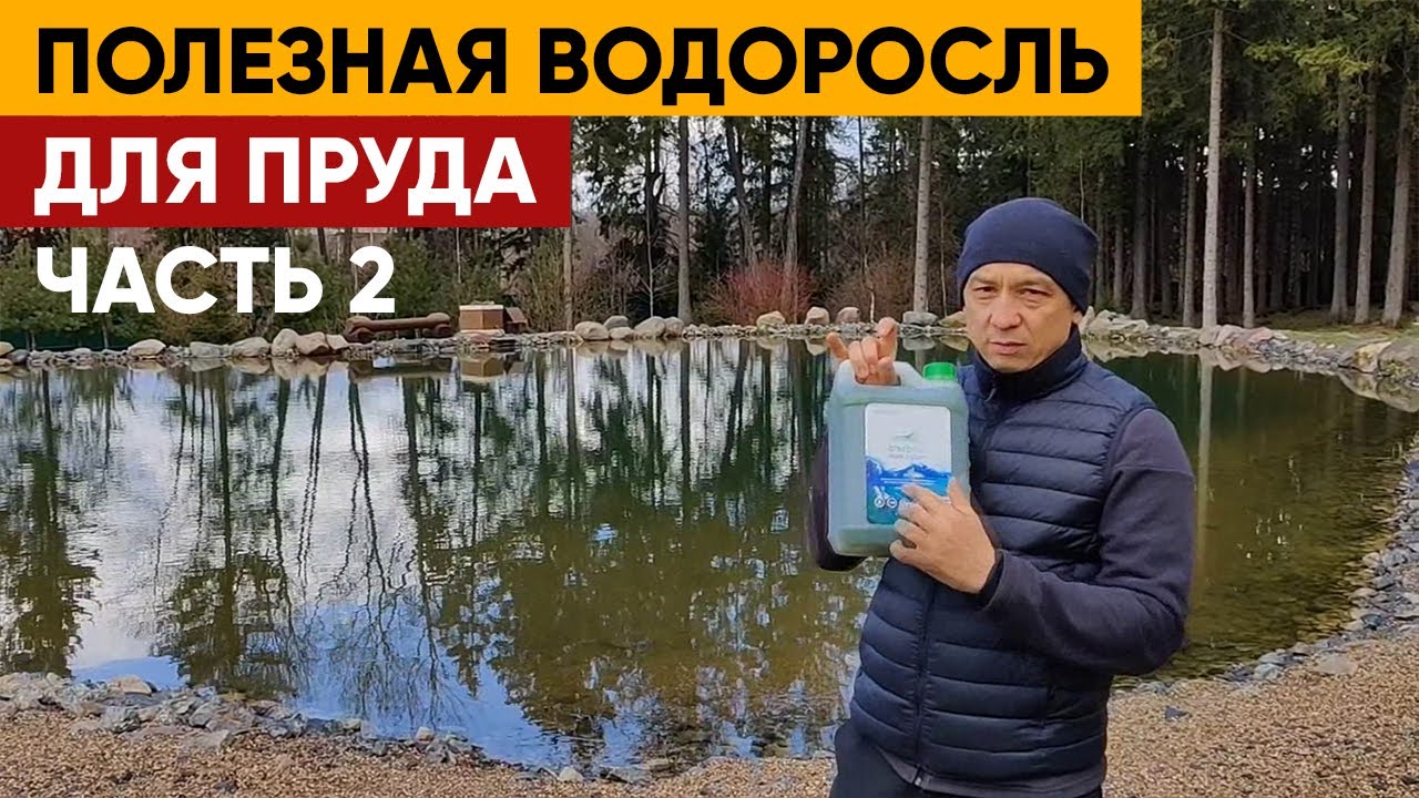 ОЧИСТКА ПРУДА ВОДОРОСЛЬЮ _ Как очистить пруд водорослью смотреть онлайн