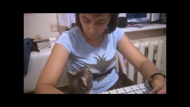 "Кошкин дом" Сказка на ночь смотреть онлайн
