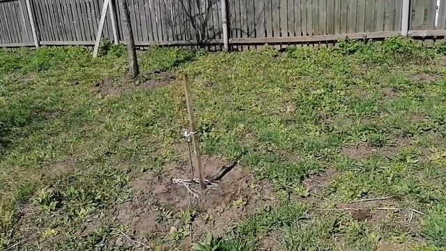 Первая поездка на дачу 8 мая 2021 год смотреть онлайн