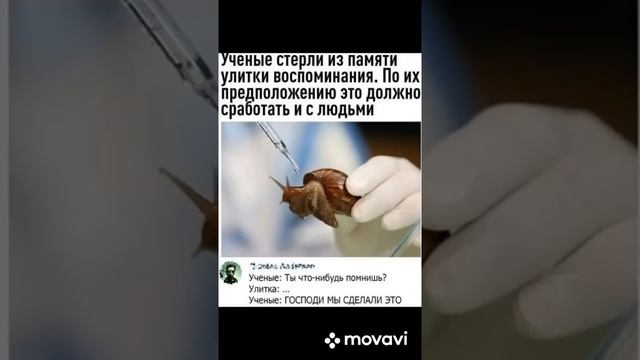 #shorts #мем смотреть онлайн