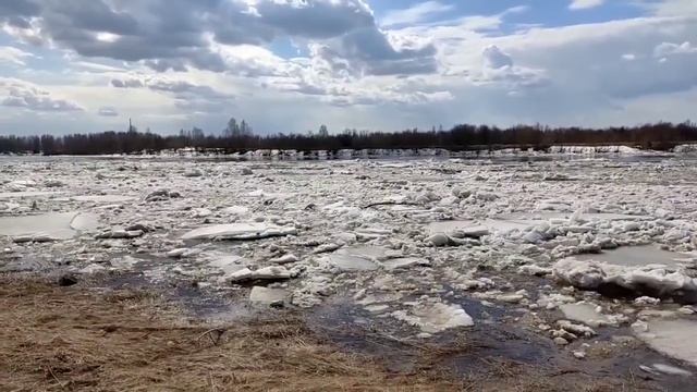 Колесниковы// Живот растет не по дням, а по часам! // Обзор видео// смотреть онлайн