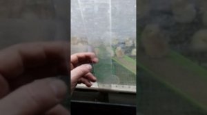 БРУДЕР ИЗ ПЕНОПЛЕКСА, ДЛЯ НАШИХ МАЛЫШЕЙ