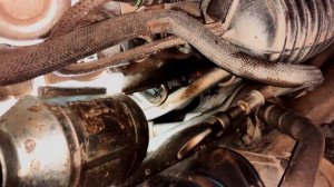 Замена переднего редуктора на Бмв х5 М е70