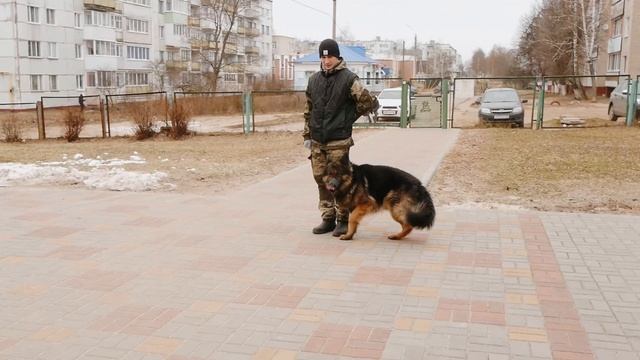 Детский сад № 31 