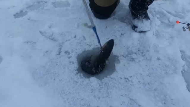 5.клев смотреть онлайн