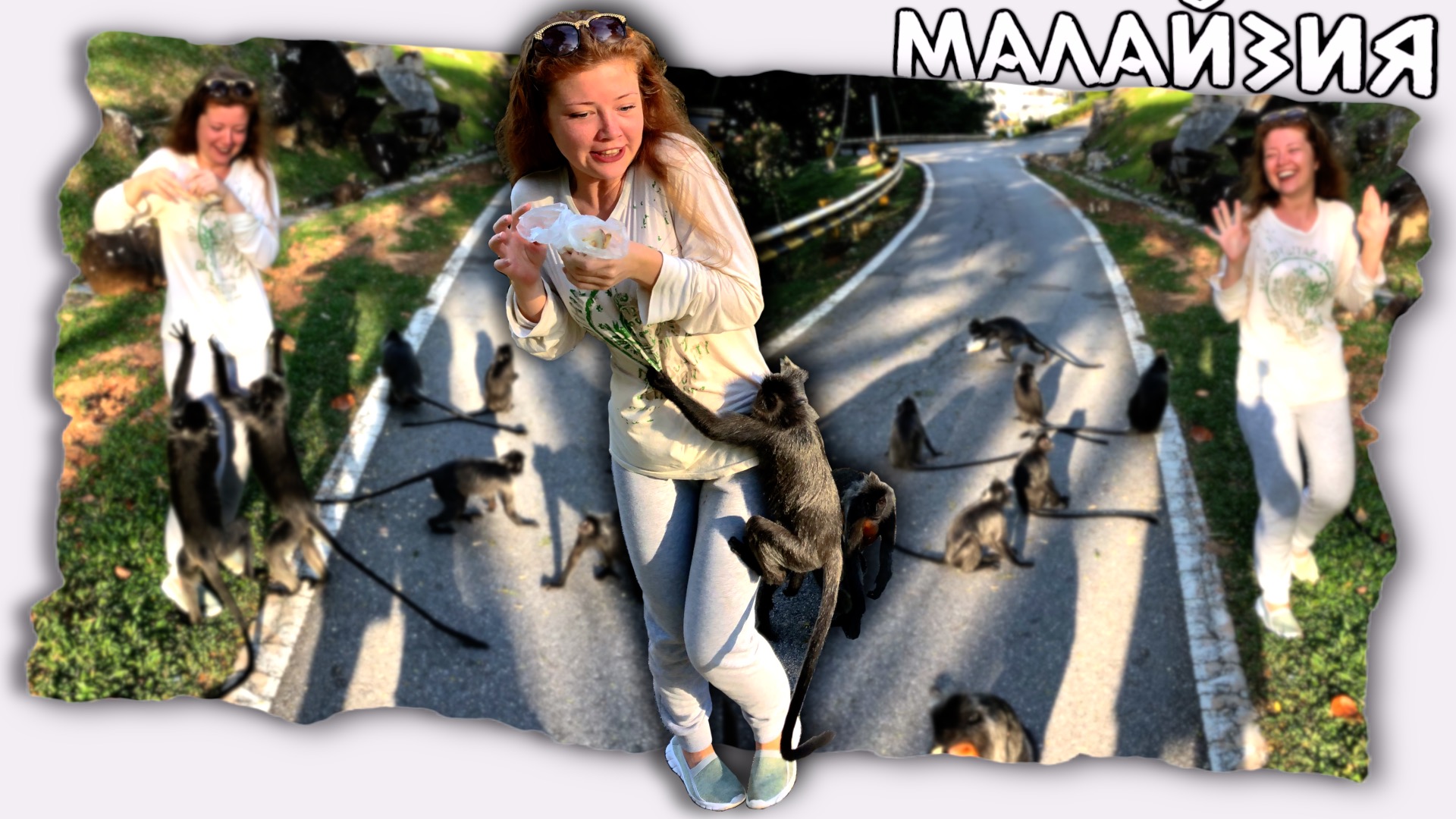 Эти обезьяны не такие как обычно // Путешествия по Малайзии