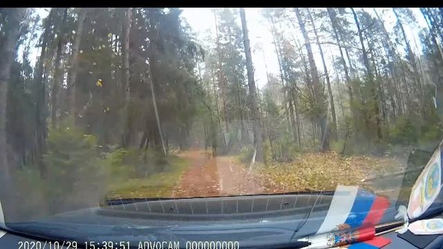 Привезла Маугли в лес искать Рядовки. Лес и лесные дороги. смотреть онлайн