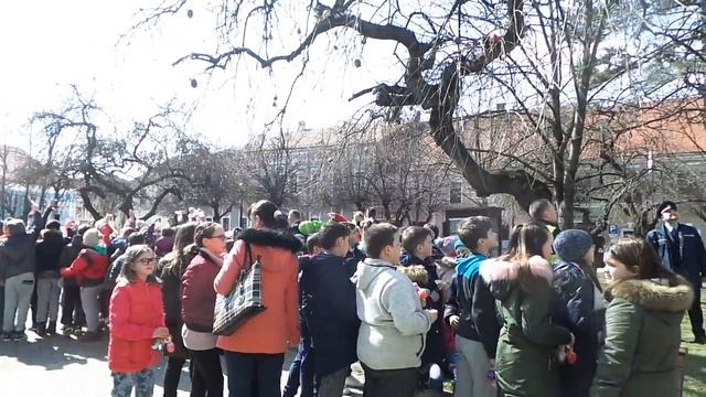 BISTRIȚA: Zeci de copii au împodobit un copac cu ouă colorate, în Piața Centrală смотреть онлайн