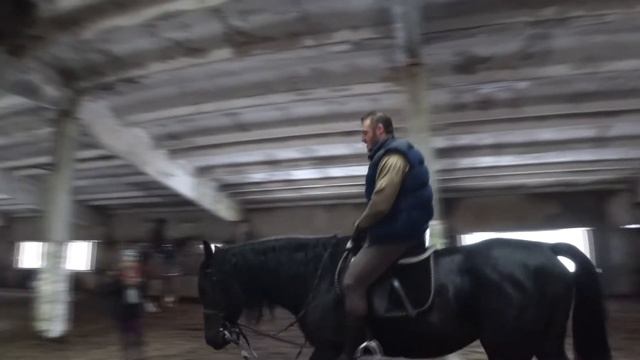 Тренировка по верховой езде на английском языке. English riding lesson. смотреть онлайн