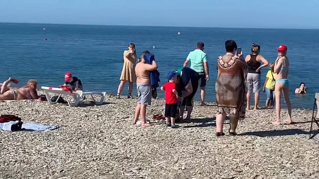 ДИВНОМОРСКОЕ 2022. Про цены, Про жильё, Про море. 11 июня смотреть онлайн