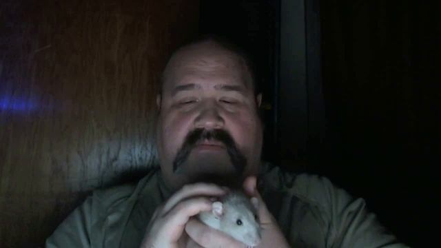 Warrax Rat's FAQ 02а: Чем кормить крыс: дополнение о тех, кто любит правильно смотреть онлайн