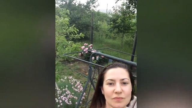 Дача, отдых Грушевато-Криничное Синельниково смотреть онлайн