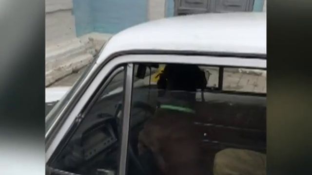 В Ярославле появилась такса-таксист смотреть онлайн