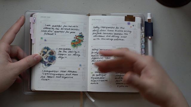 January in my Gratitude Journal | 2024 Planner Flip Through смотреть онлайн