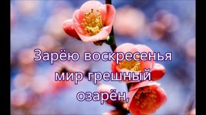 Возрадуйтесь же люди Христос воскрес воскрес/// на Пасху