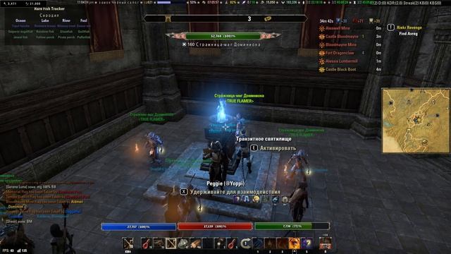 Сиродил, гайд по PVP зоне Сиродил - Elder Scrolls Online (TES, ESO) смотреть онлайн