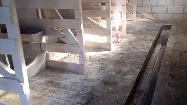 дезинфекция коровника лучшее средство для дезинфекции////хлористый йод/живые бактерии/побелка. смотреть онлайн