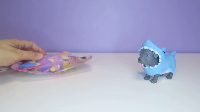 Прокачка для собачки 