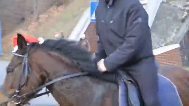 Stajnia Kawcze w Śremie z okazji mikołajek смотреть онлайн