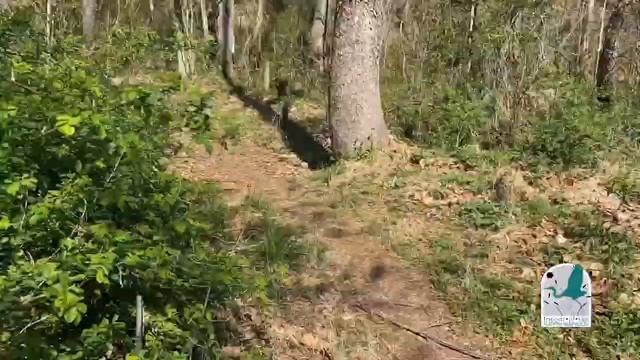 Tributary Tuesday: Rush River смотреть онлайн