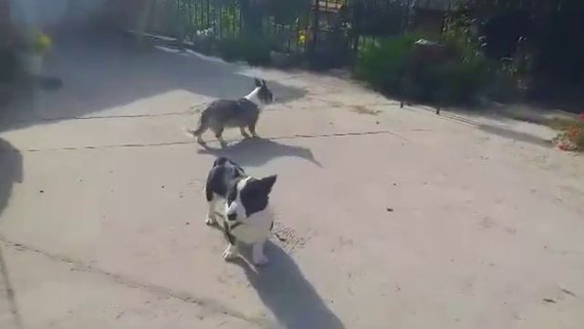 Старые песни о главном.Гуляем и разговариваем))) смотреть онлайн