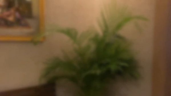 LIU Resorts 5* Сиде, Турция