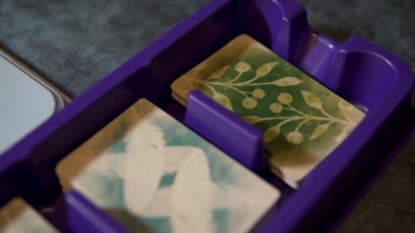 Птицы Европы (European expansion) дополнение к настольной игре Крылья (Wingspan), обзор