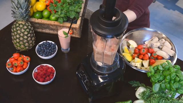 EMERIO PROFESSIONAL BLENDER PBL-108642 (DE) смотреть онлайн