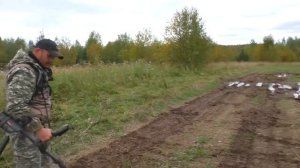 Как мы золото ищем с Дмитрием Мусихиным