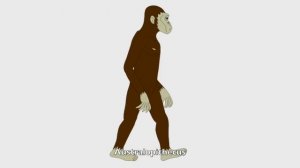 100 Prehistoric Beasts 1 of 4