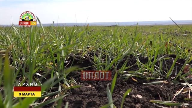 Сев ранних яровых культур смотреть онлайн