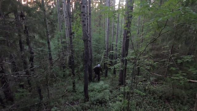 Рыбалка на лесной речке,Архангельская область,отправились в лес на дрезине по узкоколейке.Лойга смотреть онлайн