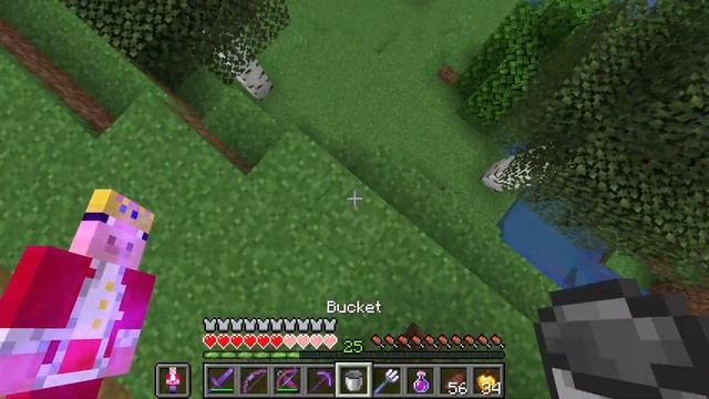 Totem Of Technoblade Makes Minecraft 1000% Funnier (ft. Budget Technoblade)