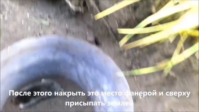 Как поймать крота. Эффективный метод избавиться от кротов смотреть онлайн
