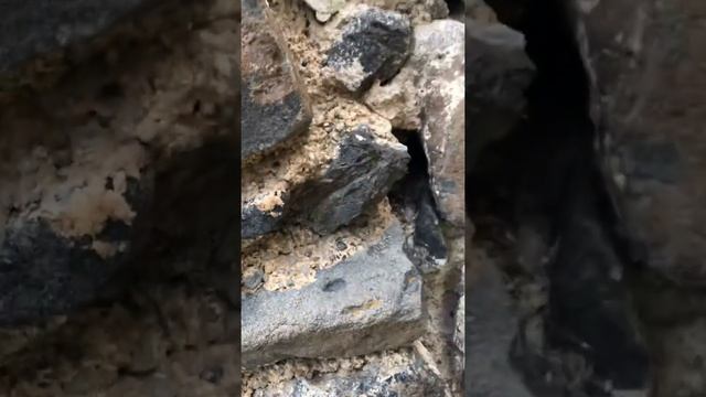 Kars . Западная Армения . Потерянная родина смотреть онлайн