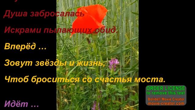 Project Own Poems, The Flowers´Road смотреть онлайн