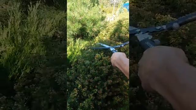 Fiskars(2) смотреть онлайн