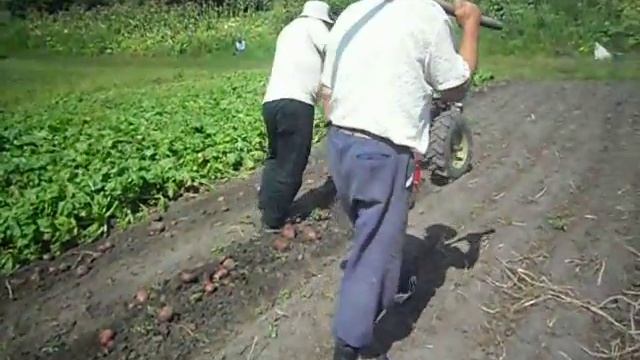 картофелекопалка к мотоблоку смотреть онлайн