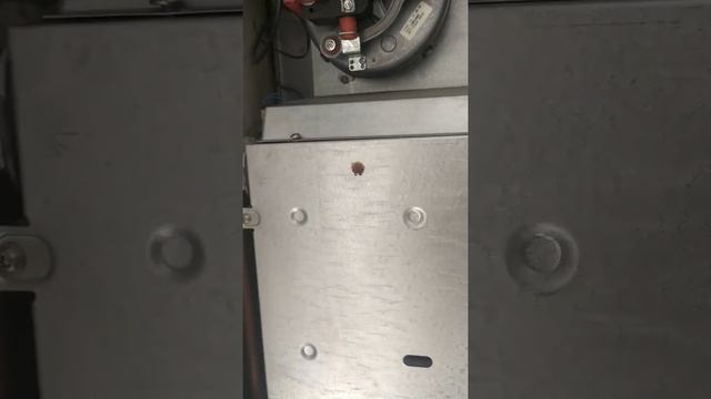 Kombi F1 arızasının kesin çözümü смотреть онлайн