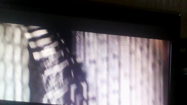 Грибы тает лёд на баяне смотреть онлайн