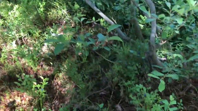 15 июля 2022 г. смотреть онлайн