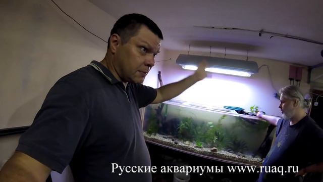 Посадили растения смотреть онлайн