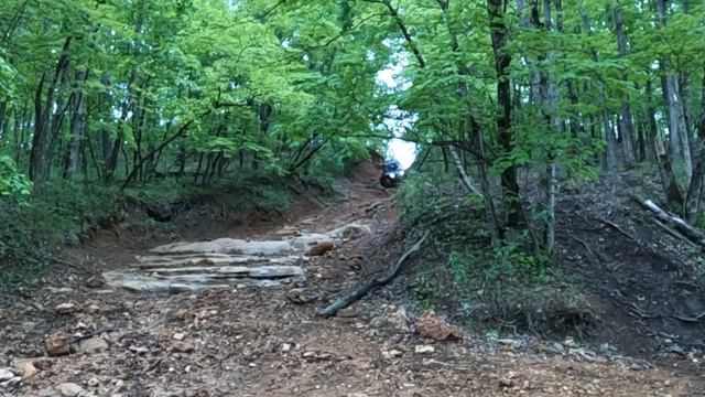 down hill st joe park with @forgottentrails смотреть онлайн