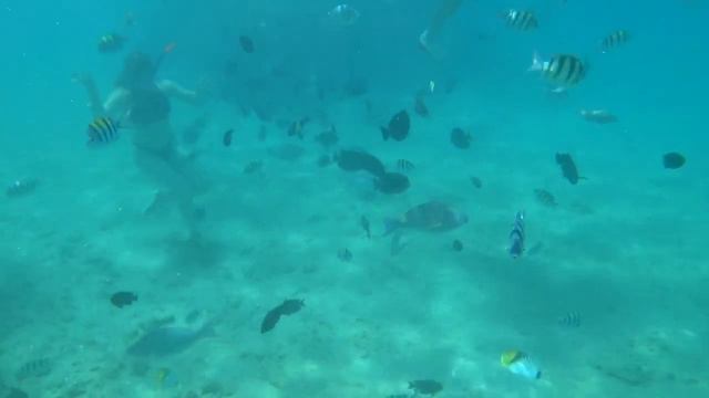 ВЛОГ заброшенный ПЛЯЖ Египта | египет в апреле смотреть онлайн