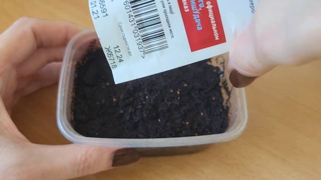 Сею АГЕРАТУМ только ТАК! Всходит ЩЁТКОЙ! смотреть онлайн