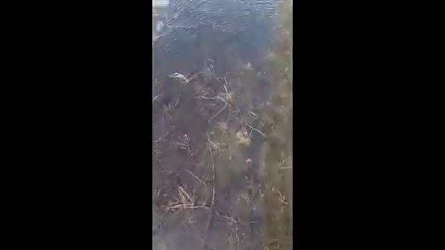 Вот лед тоесть лужа котороя была льдом) :) смотреть онлайн